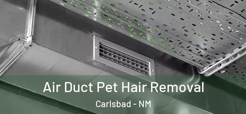  Air Duct Pet Hair Removal Carlsbad - NM