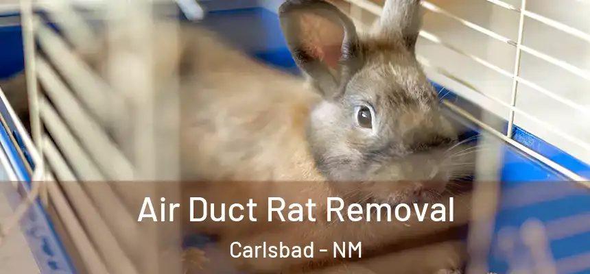 Air Duct Rat Removal Carlsbad - NM