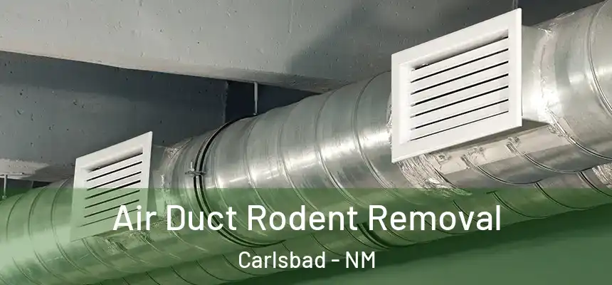  Air Duct Rodent Removal Carlsbad - NM