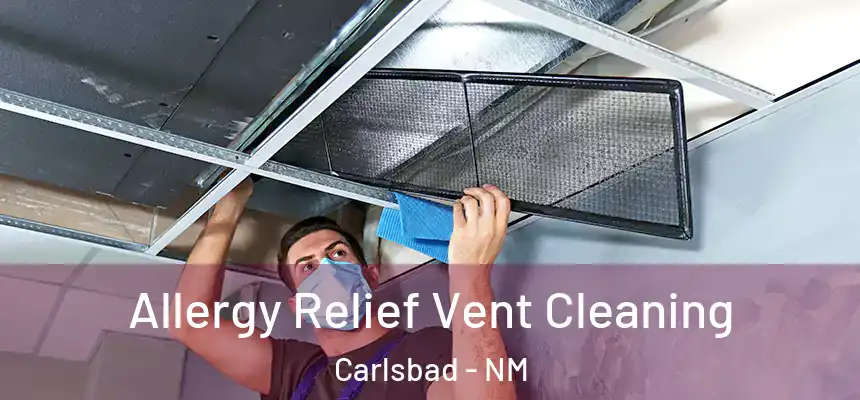  Allergy Relief Vent Cleaning Carlsbad - NM