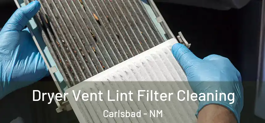  Dryer Vent Lint Filter Cleaning Carlsbad - NM
