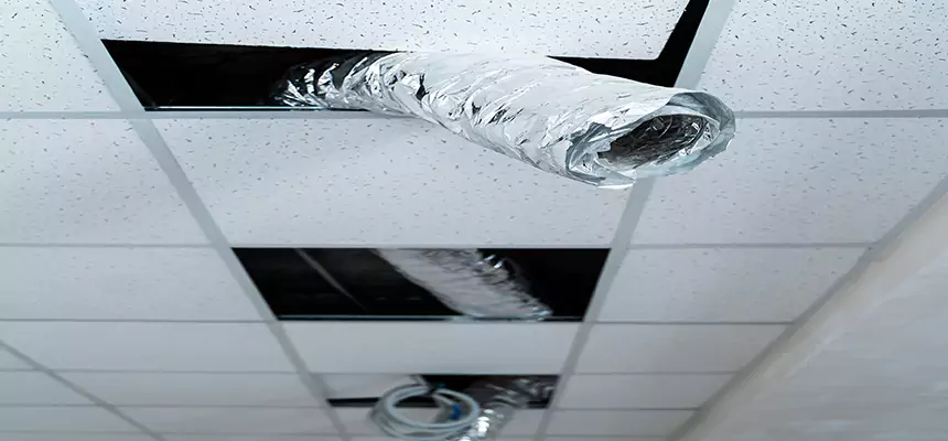 Affordable HVAC Sanitizing After Pest Removal in Carlsbad