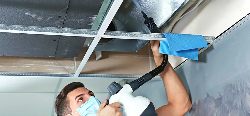 Our Air Duct Rodent Removal Services in Carlsbad, NM