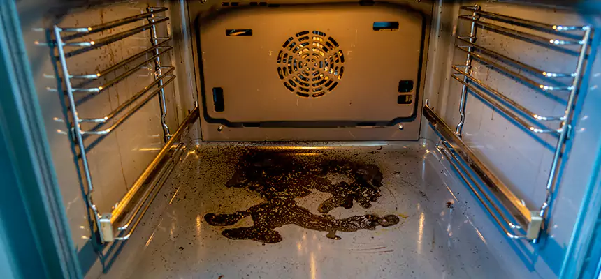 Our Dryer Vent Mold Cleaning Services in Carlsbad, NM