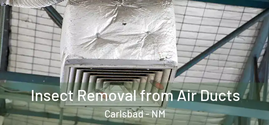 Insect Removal from Air Ducts Carlsbad - NM