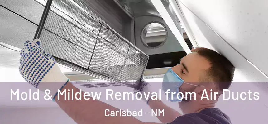  Mold & Mildew Removal from Air Ducts Carlsbad - NM