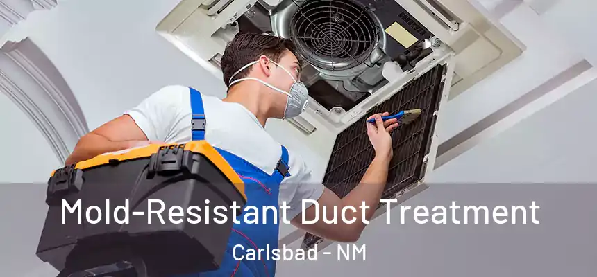 Mold-Resistant Duct Treatment Carlsbad - NM