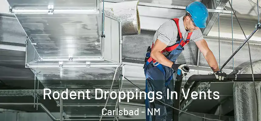  Rodent Droppings In Vents Carlsbad - NM