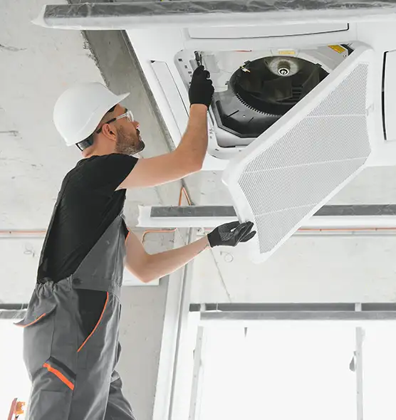 About Air Duct Rodent Removal in Carlsbad, NM