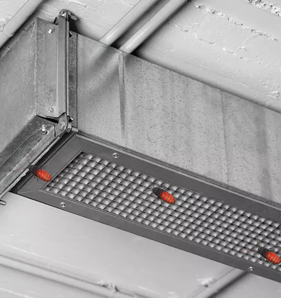 Affordable Insect Removal from Air Ducts in Carlsbad, NM