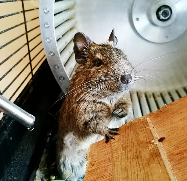 Why Homeowners & Businesses Trust Us Carlsbad, NM