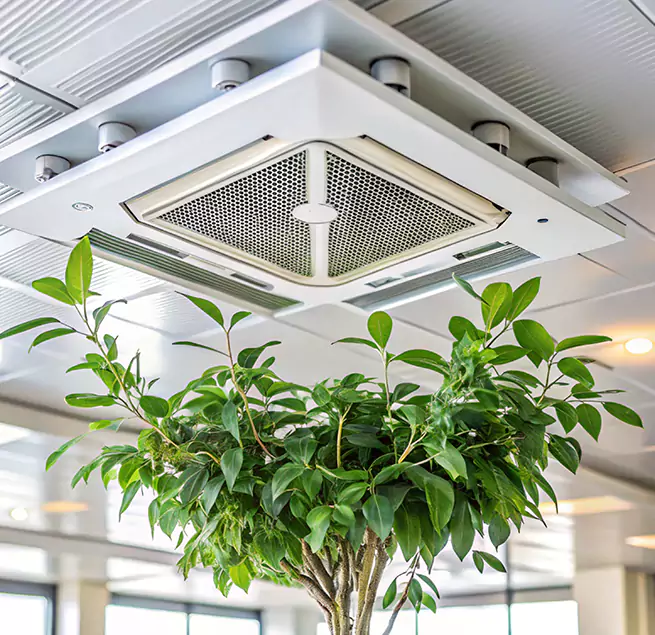 Why Homeowners & Businesses Trust Us in Carlsbad, NM?